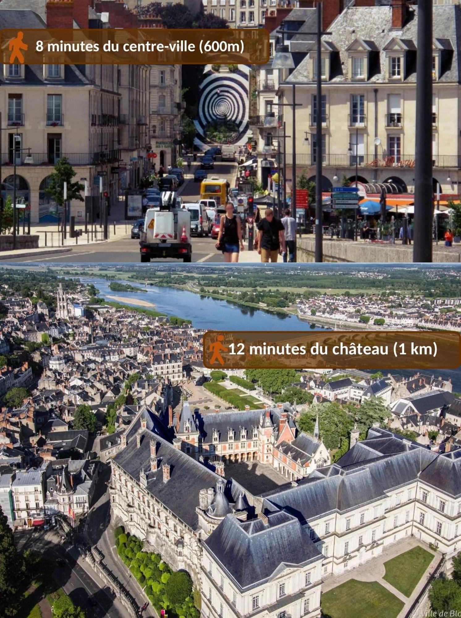 Appartamento Maison Royale - Idealement Situee A Blois Esterno foto